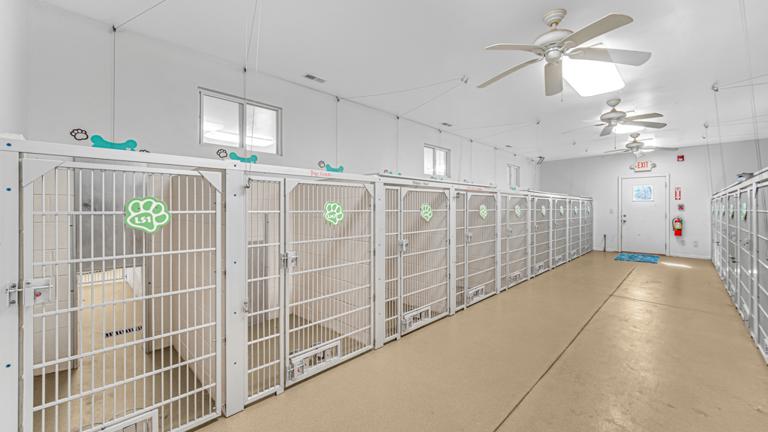 Main Kennel Area