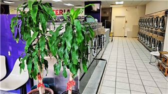 The Realty TX Laundromat Washateria | West Bellfort, Houston, TX