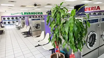 The Realty TX Laundromat Washateria | West Bellfort, Houston, TX