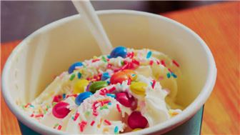 Yogurt Shop Franchise Business for Sale