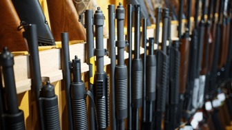 Well-established Gun Shop
