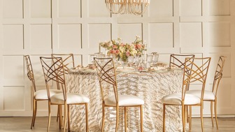 Profitable, Established Party Rental Business – 20+ Years
