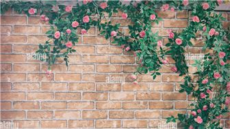 Manufacturer and Reseller of Plant-Related Home Décor and Accessories