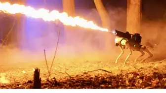 DTC Flamethrower Manufacturer High Margins