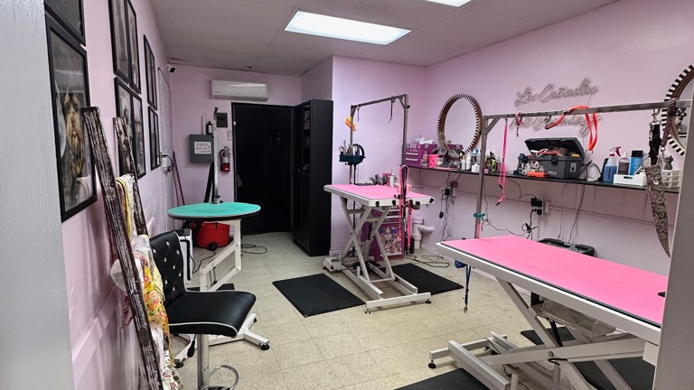 Grooming Area 1