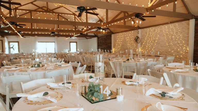 Turnkey Reception Hall Includes All Furnishings