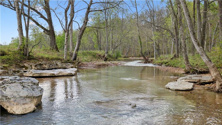 Beautiful one of many creeks on property