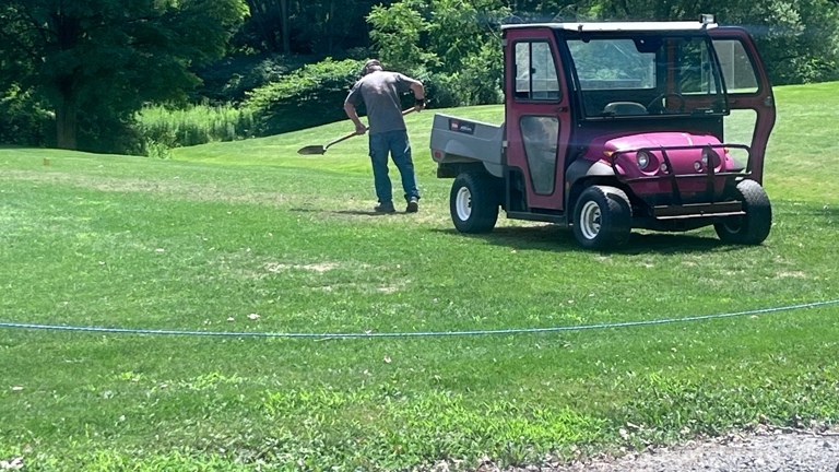 Over seeding grass tees