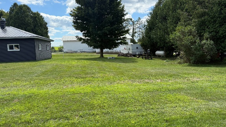 Back Yard Residential