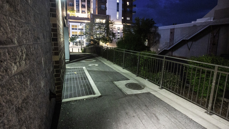 Delivery Door & Back Alley