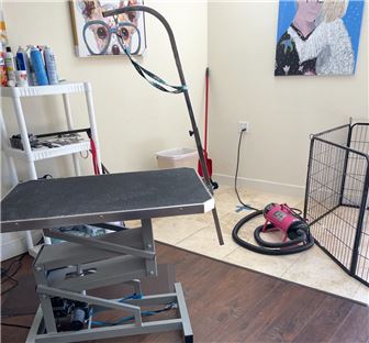 Very Popular Pet Grooming Business