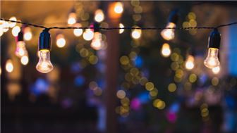 Established Lighting Business