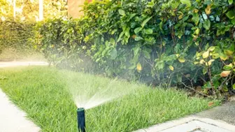 Irrigation Business Tampa