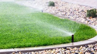 Irrigation Franchise Tampa