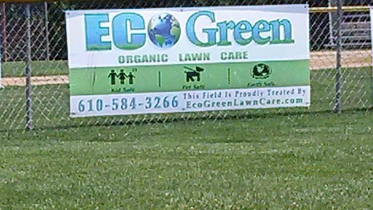 Organic little league field