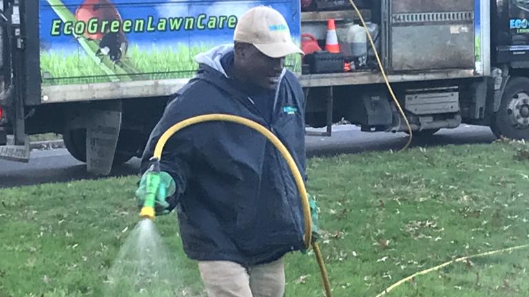 Spraying lawn