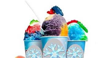 Popular Frozen Treats Franchise