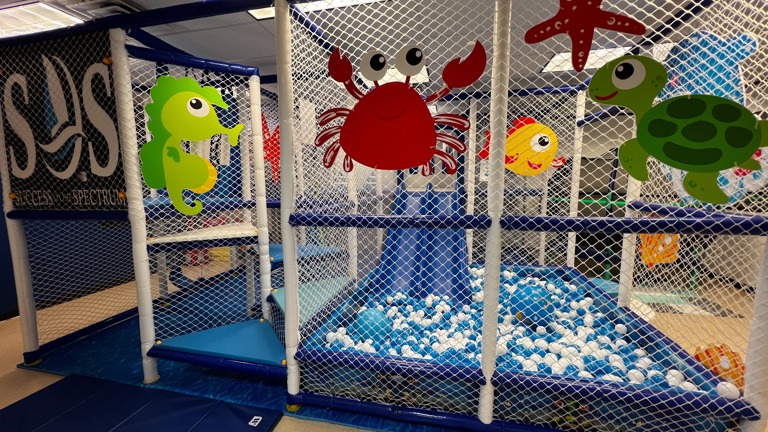 Gross Motor Gym