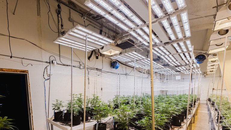 Climate Controlled Rooms