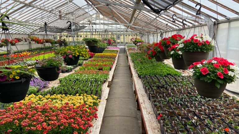 Inside main greenhouse