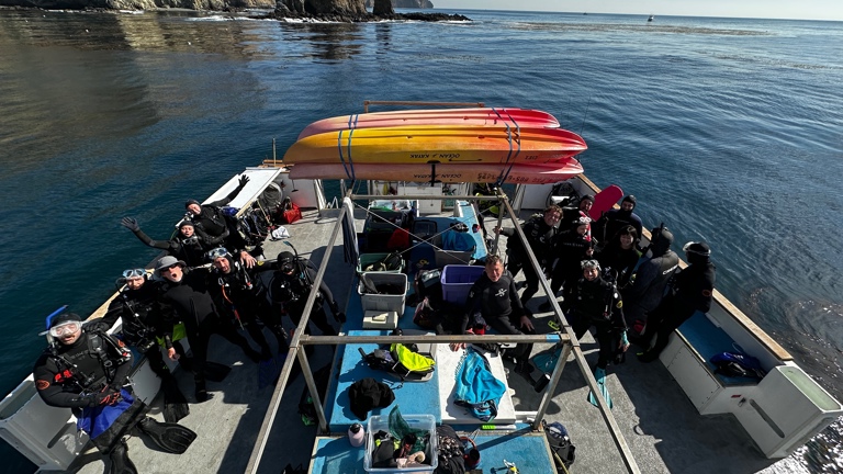 Dive compressors and easy access swim step
