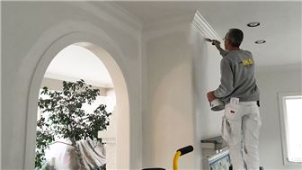 Established Painting Franchise For Sale