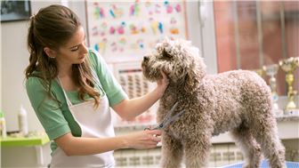 Profitable Dog Grooming Business with a Large Loyal Customer Base