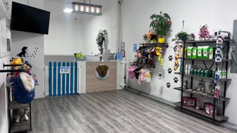 Profitable Dog Daycare and Grooming in Brooklyn