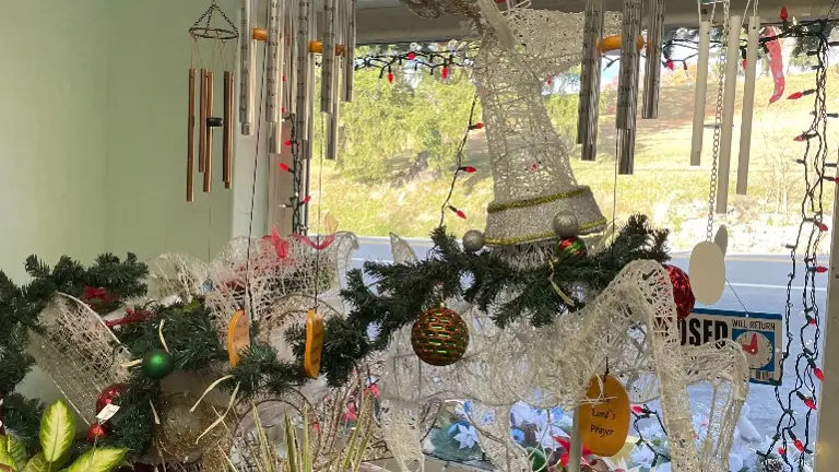 Front Window Showroom Front Window Showroom