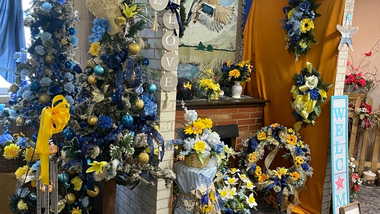 Display Area