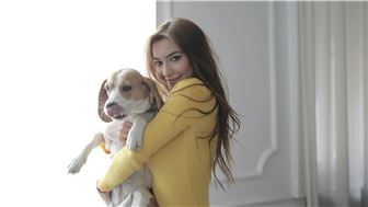 Doggie Daycare Franchise - North Houston