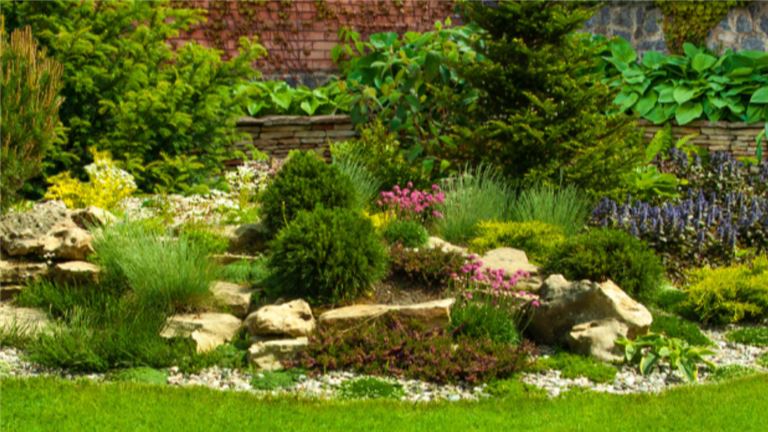 Landscape Design