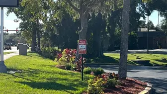 Commercial lawn & landscaping