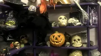 Costume Rental Company with Theatrical inventory for takeover