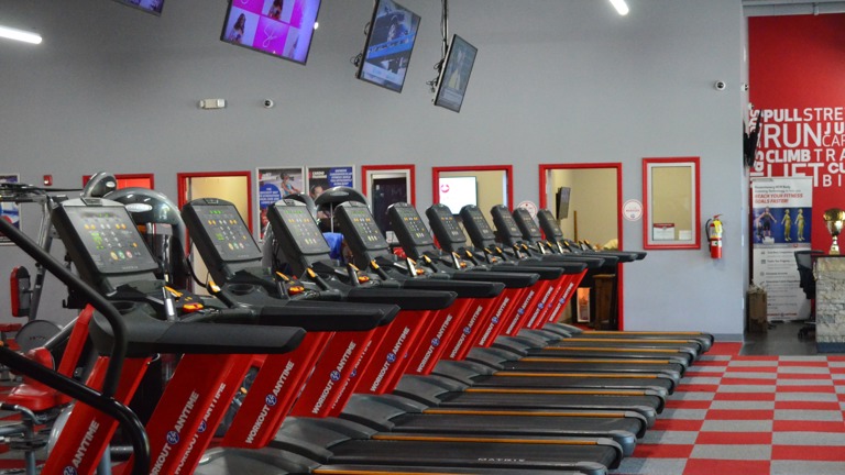 Cardio Equipment