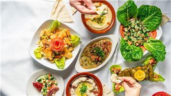 Modern Mediterranean, Fresh Fast Food Restaurant-Franchise