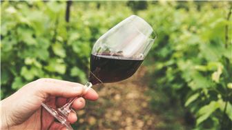 Turn-key Winery For Sale in the South Bay!