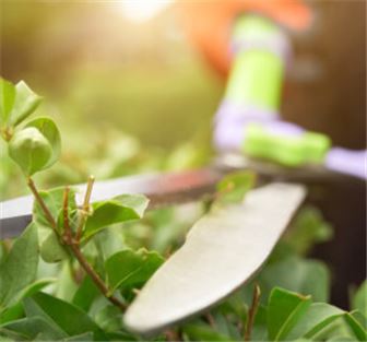 Premier Landscaping Business with 42 Year Legacy