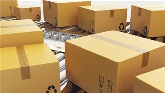 B2B Packaging Manufacturer – $1.66M Revenue, $256K DE