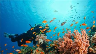 Outdoor Lifestyle & Marine Gear Brand for Sale