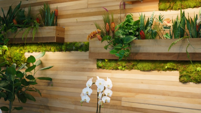 Indoor plant design