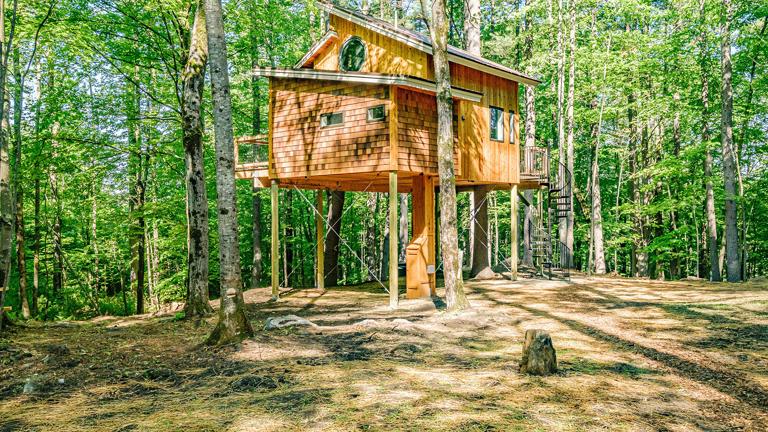 The Canopy Treehouse