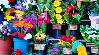 Fantastic, Turn-Key Floral Shop For Sale