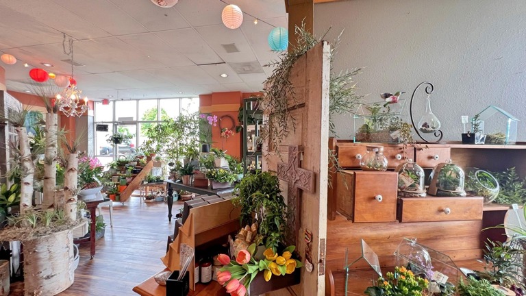 Large Plant Selection