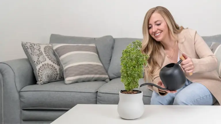 Quality ceramic pot and liner with a minimalist design, made to make plant care easier and built to last.