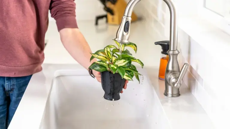 Patent-pending liner design prevents overwatering and allows airflow to the soil to promote healthy roots.
