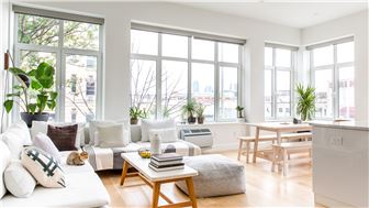 Eco-Friendly, Non-Toxic Mold Remediation for Homes and Businesses