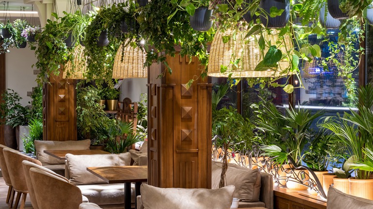 Interior plantscape design, installation, and care