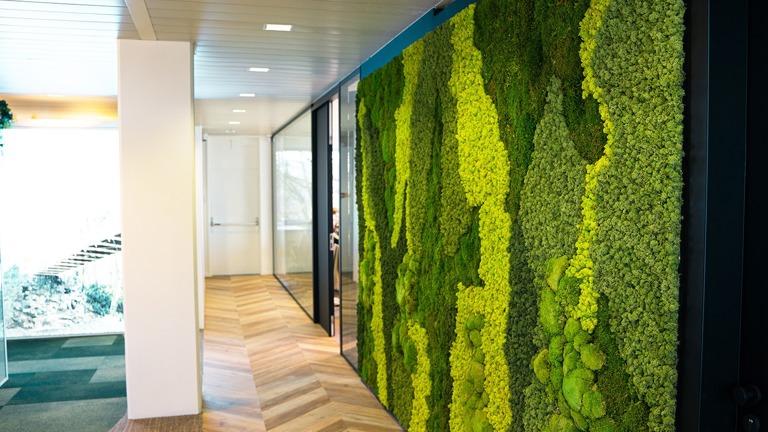 Preserved moss walls & faux plant installations