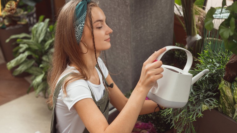 Plant care services, commercial & residential